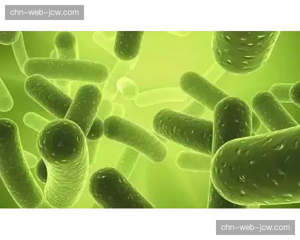 体育媒体生态在当前传播周期内通过绿色叙事策略提升赛事社会价值溢价